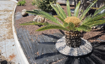 instalacion sistemas riego Roda de Bara