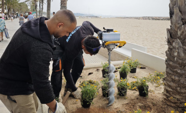 mantenimiento jardines Roda de Bara